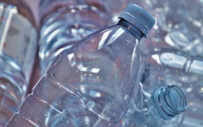 EPR en Alemania para envases: guía práctica para empresas que venden productos en el mercado alemán.
