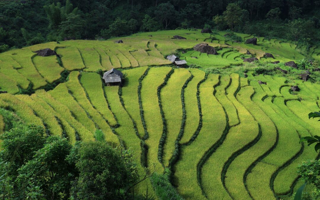 importar vietnam vs china