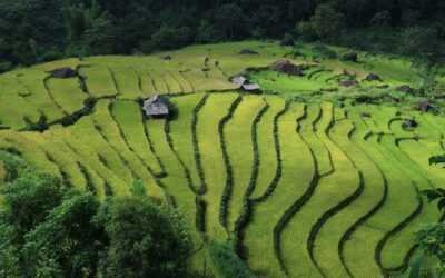 ¿Vietnam o China? Cómo afectan los acuerdos comerciales al coste de importar en la UE