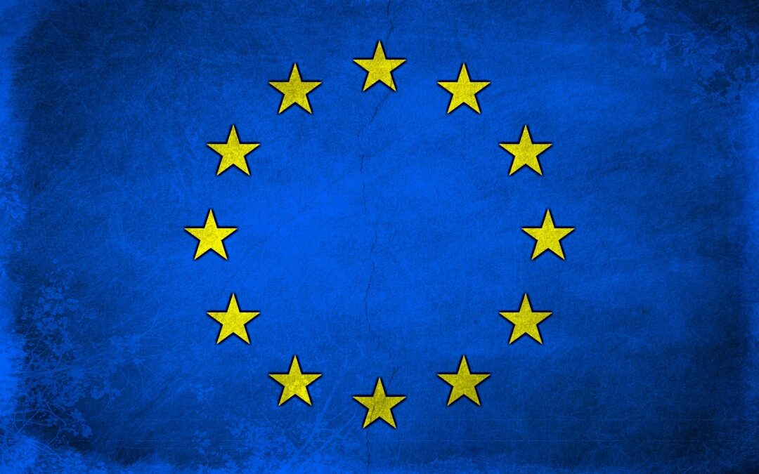 EU Customs